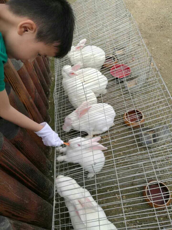 南宫·NG(中国)电子游戏官网